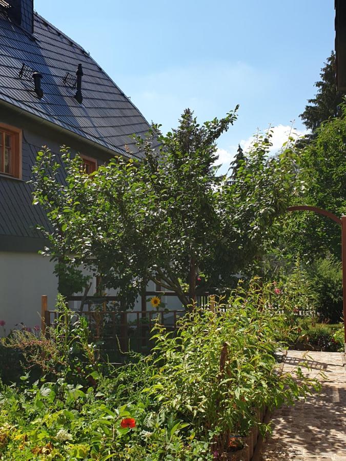 Oekologische Ferienwohnung Becker Kottmar Bagian luar foto